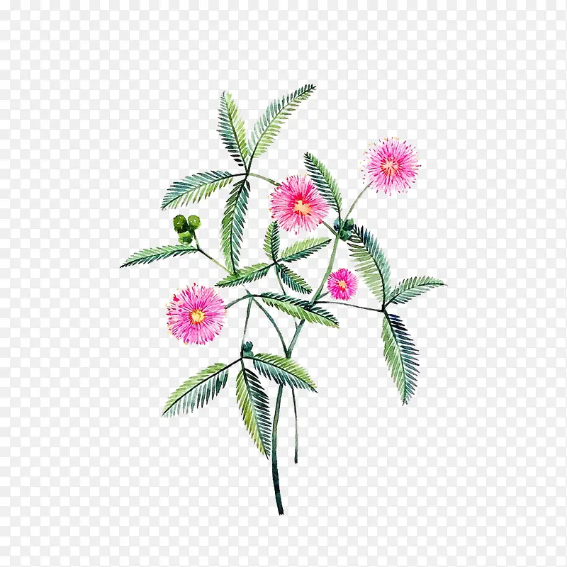 花卉
