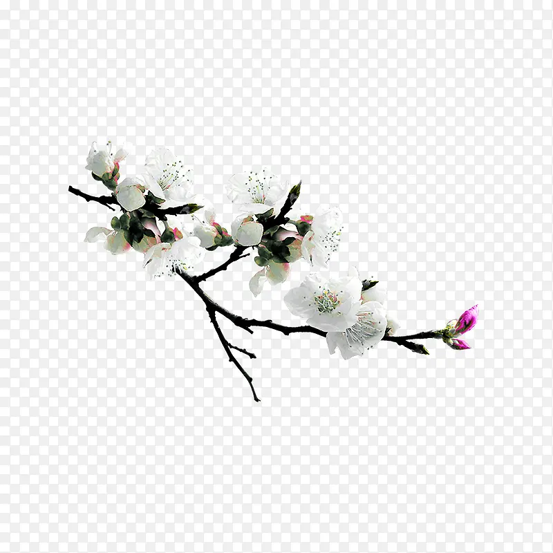 梅花