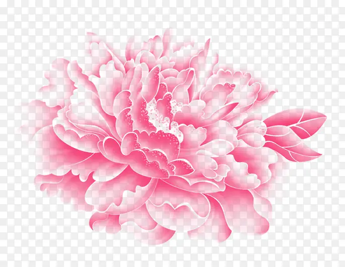 粉色花卉