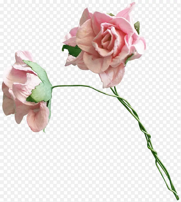 粉色鲜花
