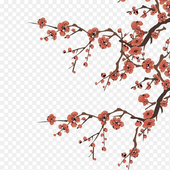 梅花PNG图片素材下载_图片编号ywwvlawm-免抠素材网