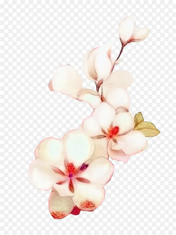 一直手绘梅花
