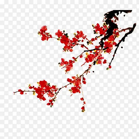 梅花