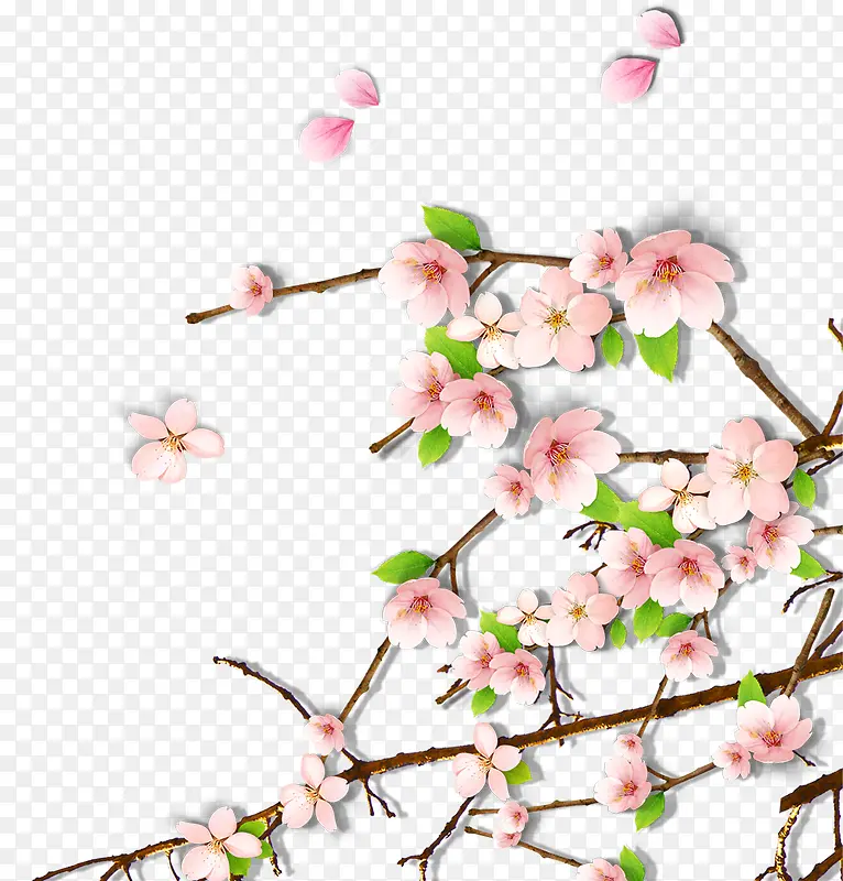 粉色艺术春天梅花花朵