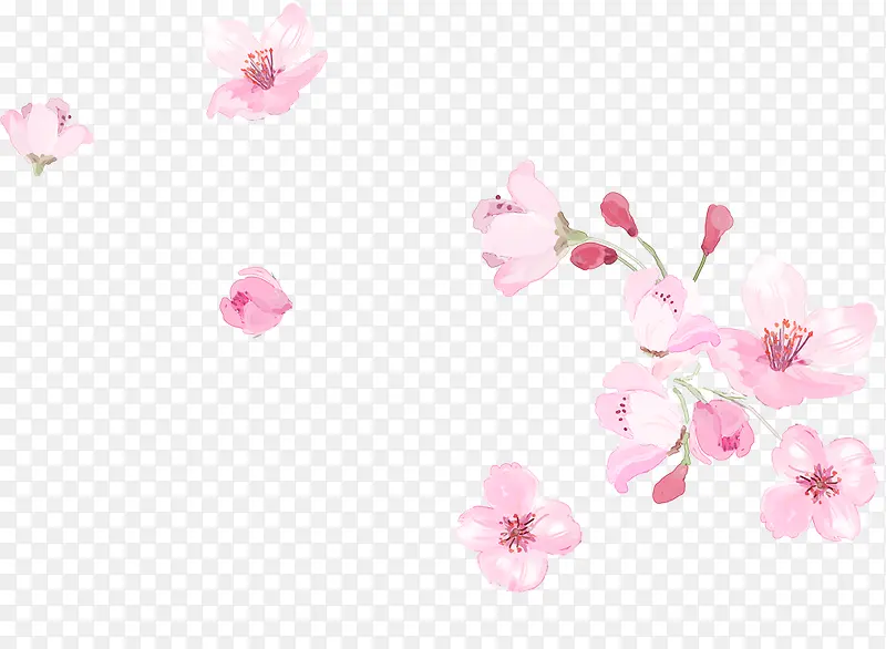 小清新粉色樱花