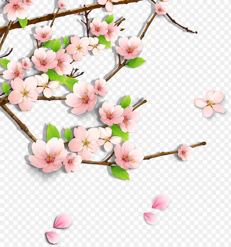粉色春天花朵梅花设计