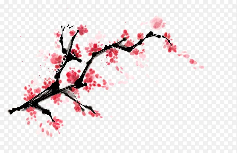 梅花