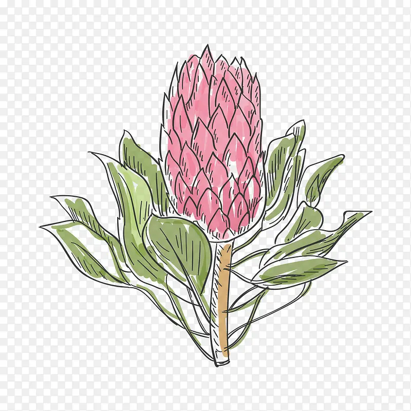 手绘水彩可爱花卉