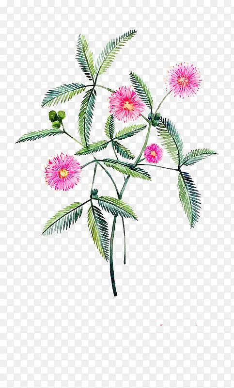 唯美手绘鲜花