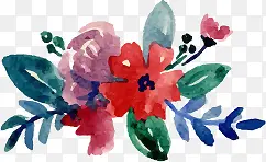 水彩 手绘 花卉