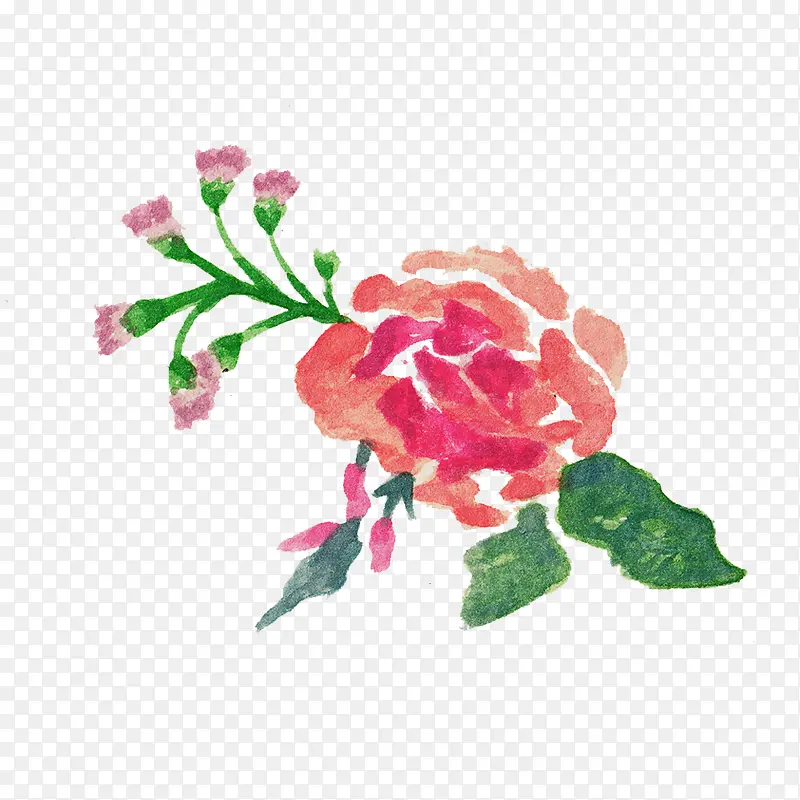 手绘花卉