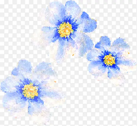 水彩花卉