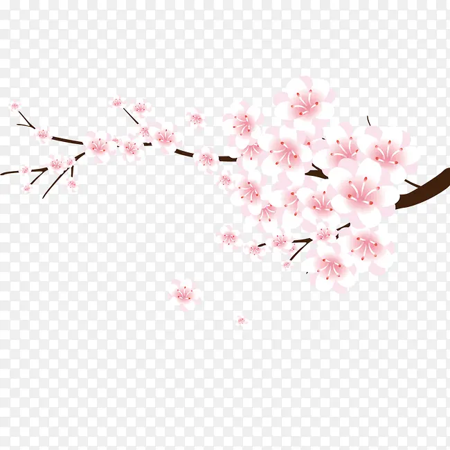 粉色桃花花卉素材