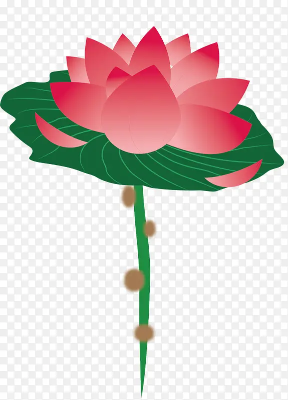 矢量花卉