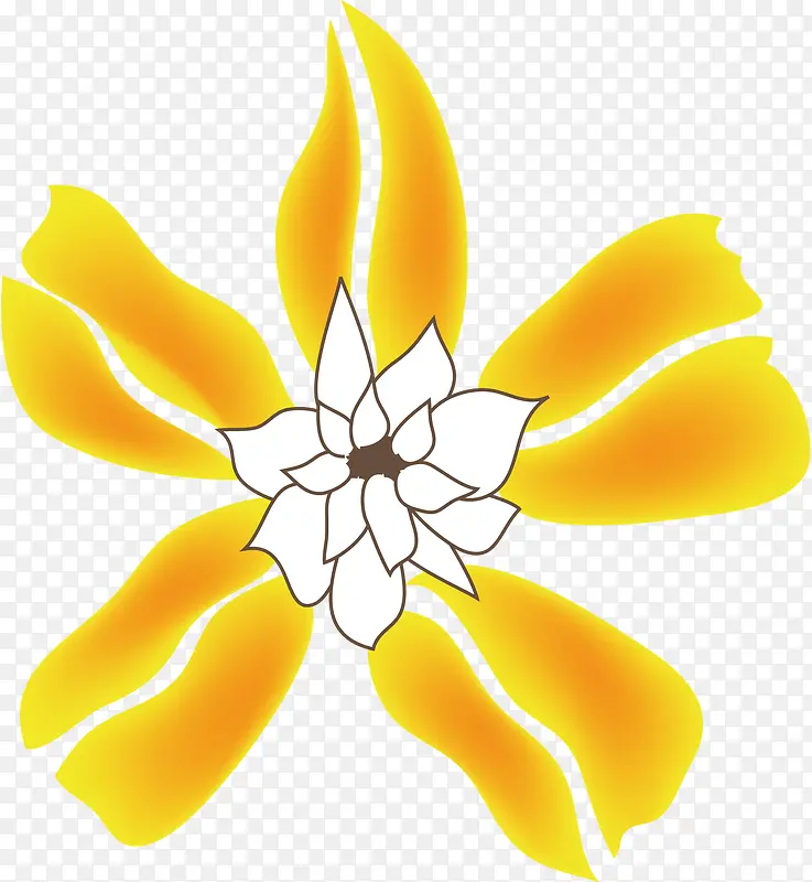黄色花