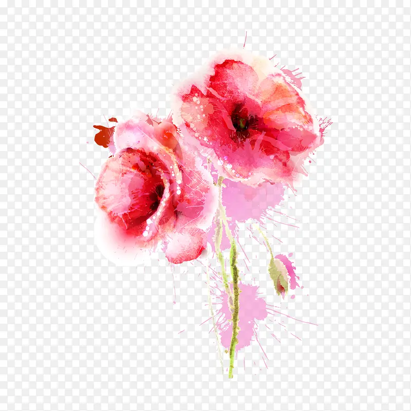 彩绘花卉