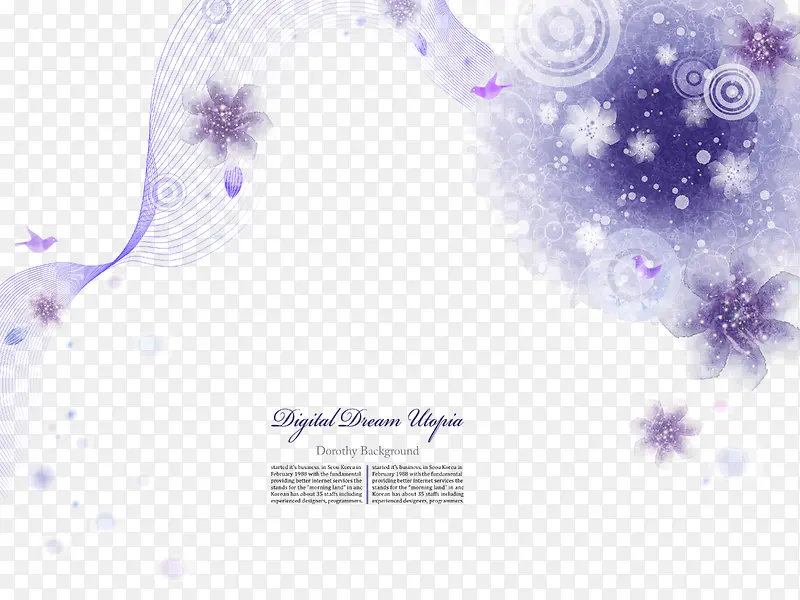 梦幻紫色花卉