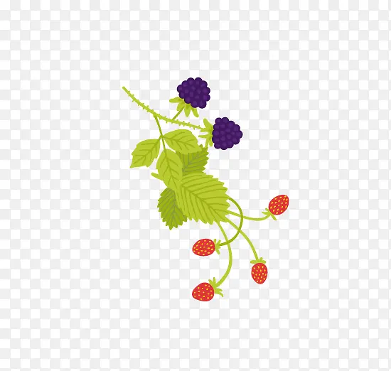 花卉