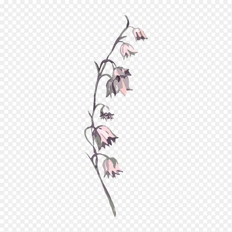 小清新水彩植物花朵插画