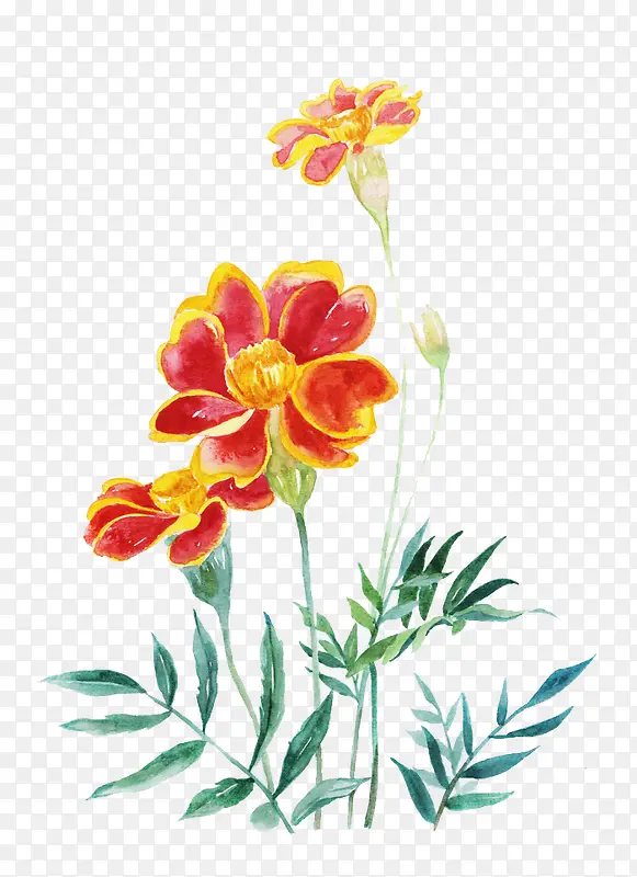 唯美手绘鲜花