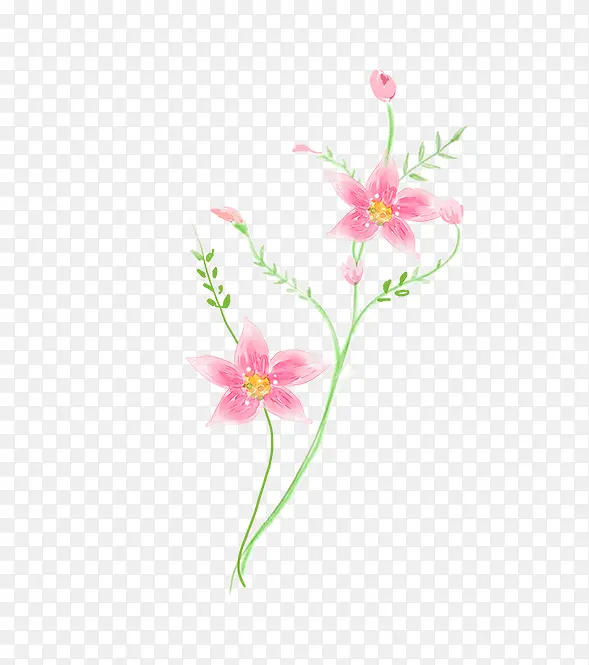 手绘水彩花卉