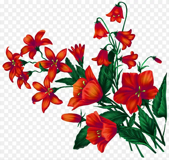 手绘红色装饰花