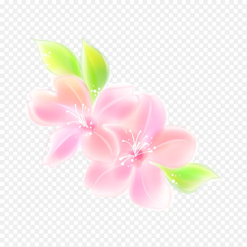 手绘粉色花朵简图