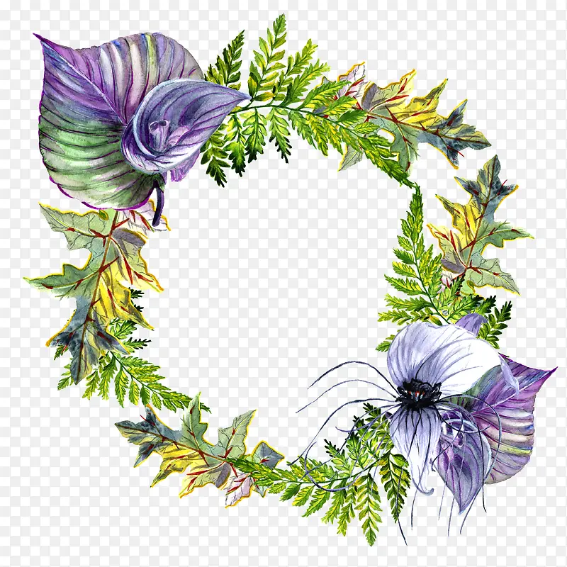 手绘花卉花草花框