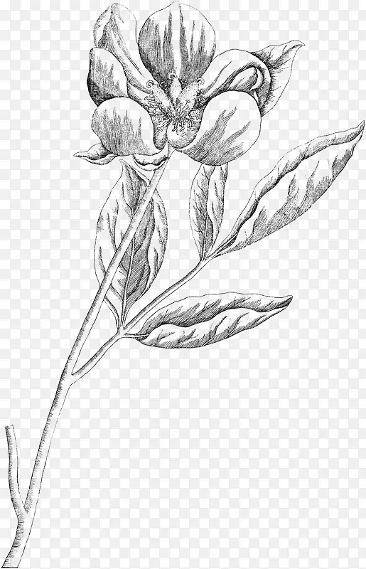 手绘卡通装饰花瓣花草装饰海报设