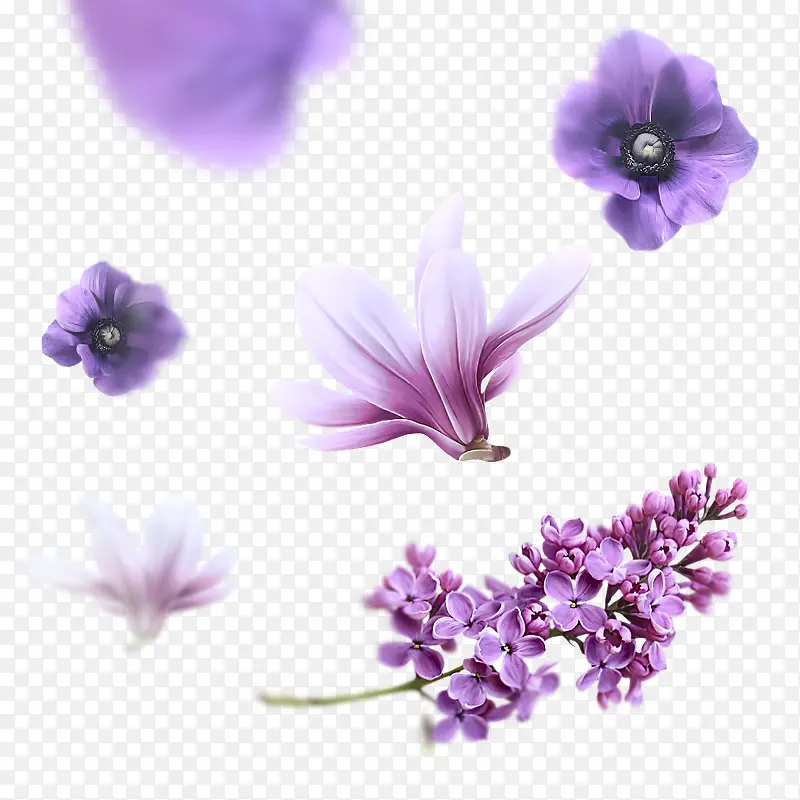 紫色花瓣主页装修