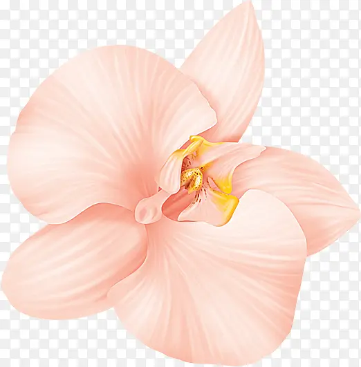 淡粉花瓣主页装修