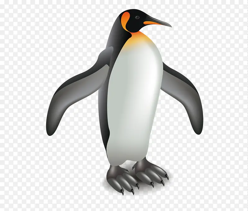 卡通企鹅PNG图片素材下载_图片编号qrmpzdkd-免抠素材网