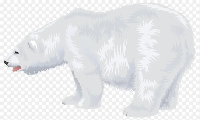 卡通动物北极熊