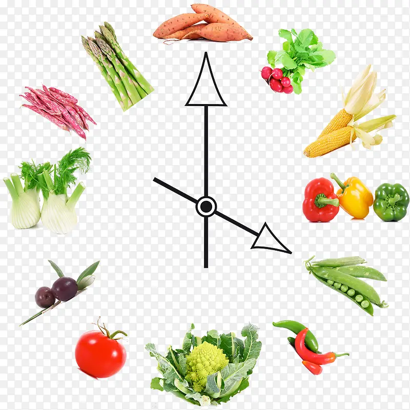 蔬菜时钟