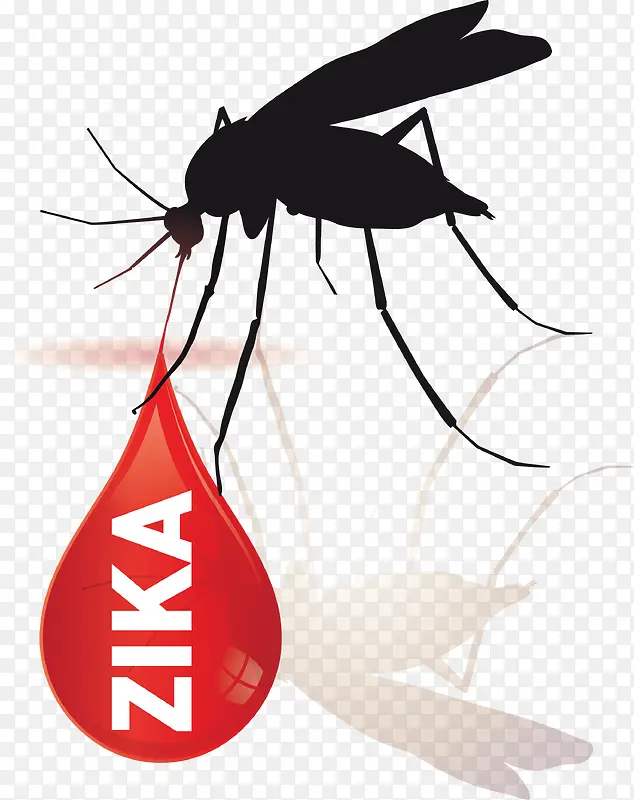 zika  病毒  蚊子