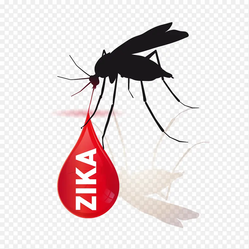 蚊子的zika图