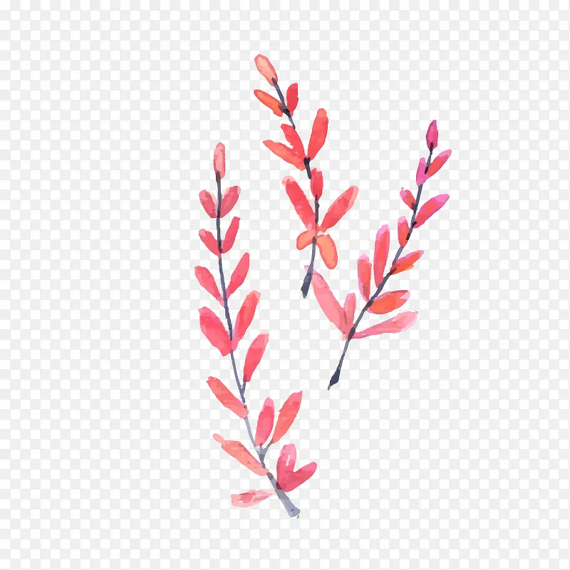 手绘水彩绘画叶子
