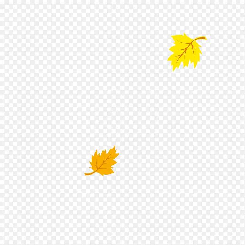 枫叶