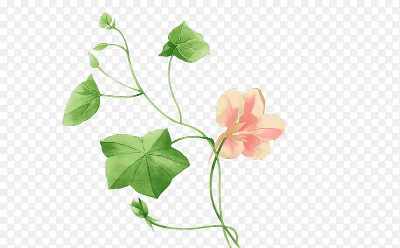 手绘花