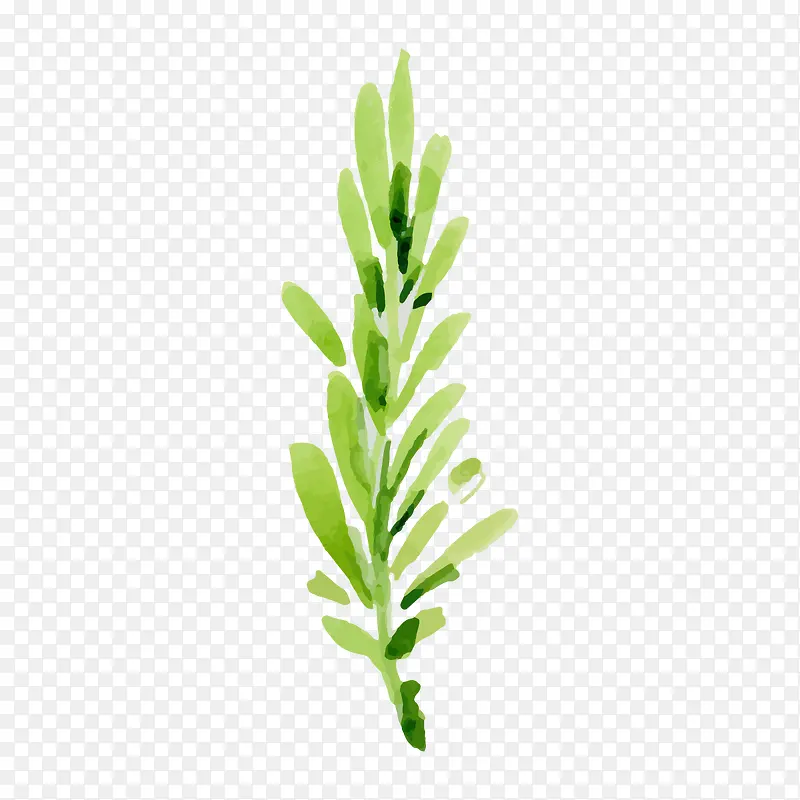 绿植装饰PNG图片素材下载_图片编号ylvllkke-免抠素材网