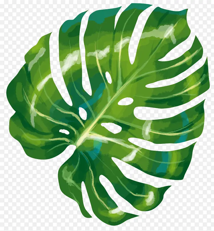 卡通绿叶装饰手绘文艺小清新