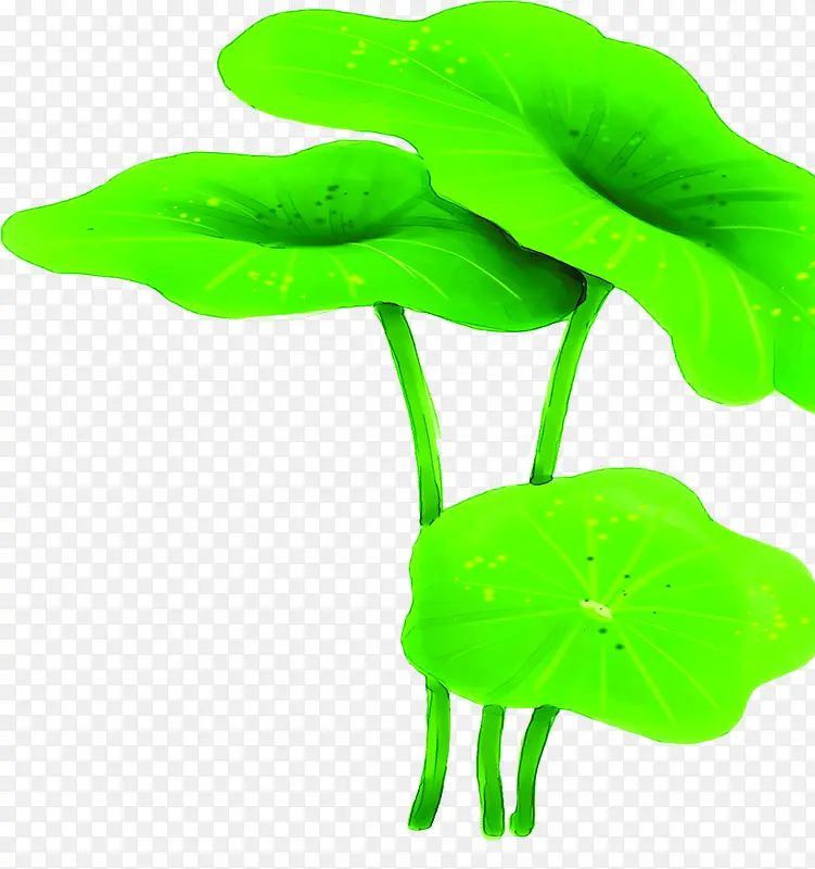 夏日植物绿色卡通手绘荷叶