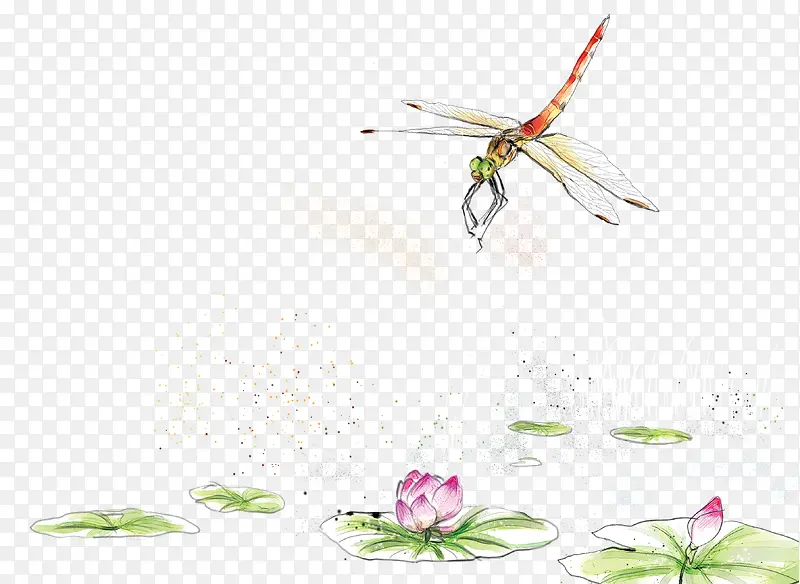 手绘水彩荷花塘蜻蜓装饰图案