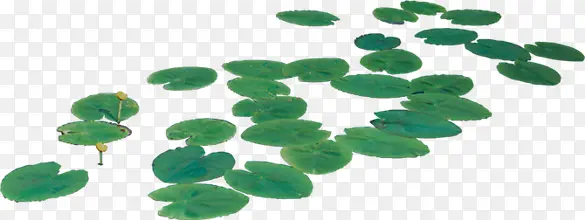 荷叶绿叶漂浮装饰图片