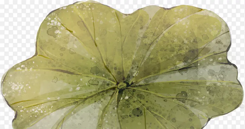 手绘黄色水墨荷叶