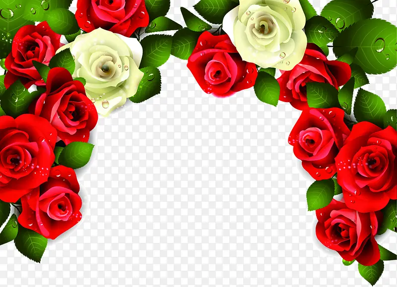 红玫瑰白玫瑰花朵植物边框装饰