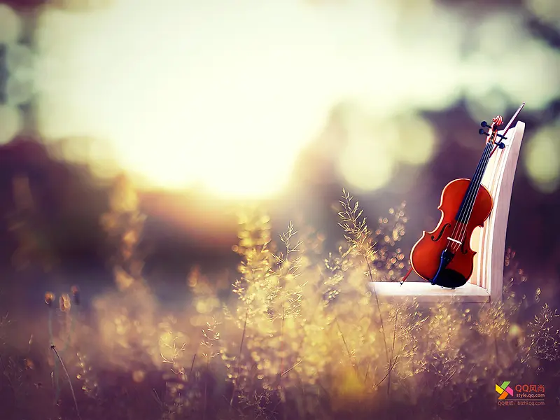 摄影夏日风景小提琴