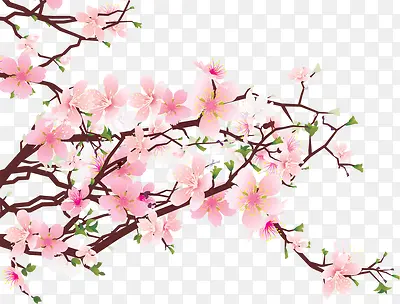 粉色桃花树枝春天植物