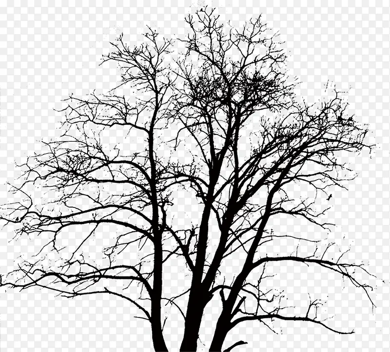 树枝，黑色树枝，