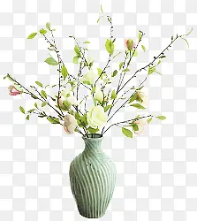植物花瓶树枝花朵